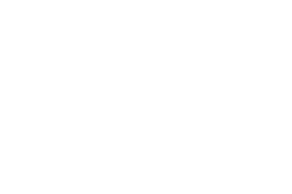 caldera-spas-logo-white